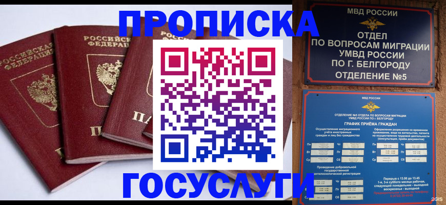 временная регистрация госуслуги в Видном